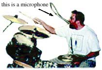 Shroom playing shiny round things